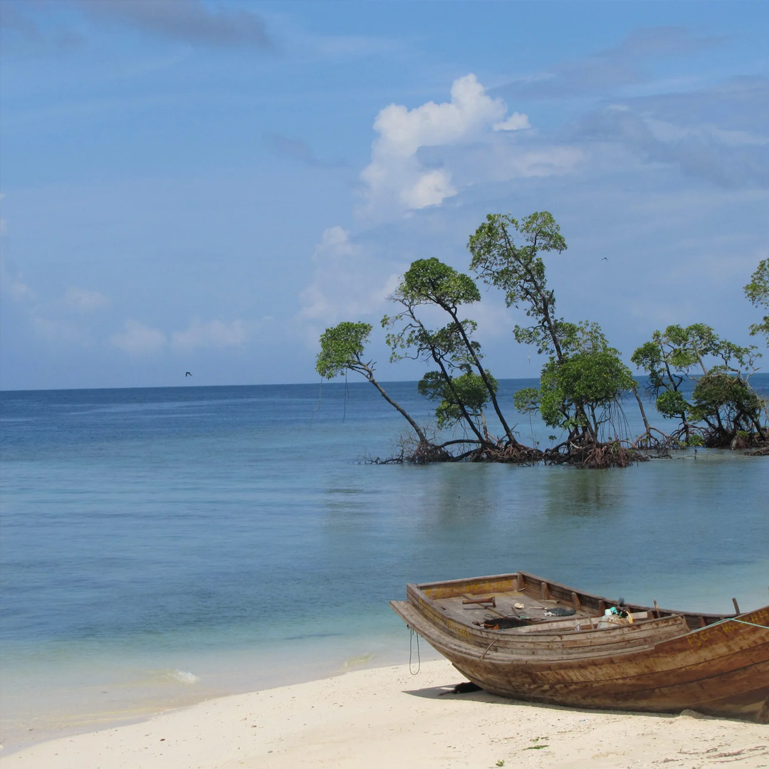 Andaman Honeymoon Tour