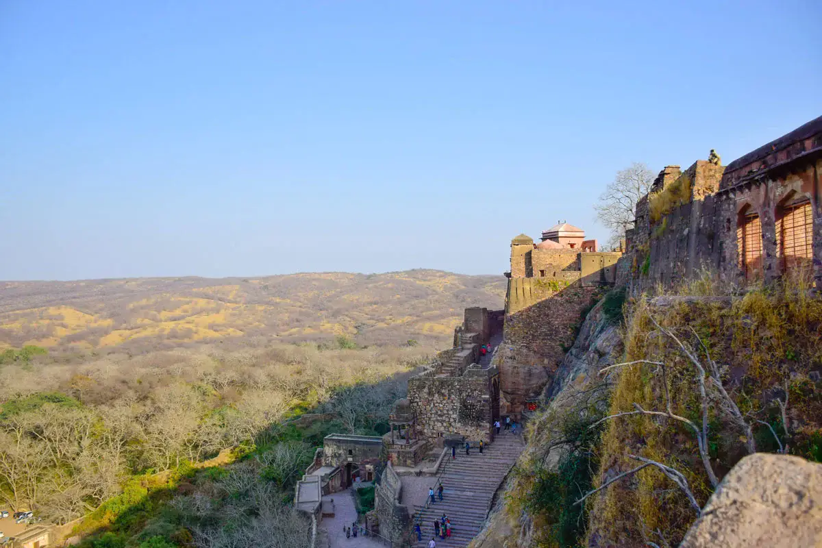 Ranthambore Tiger Safari