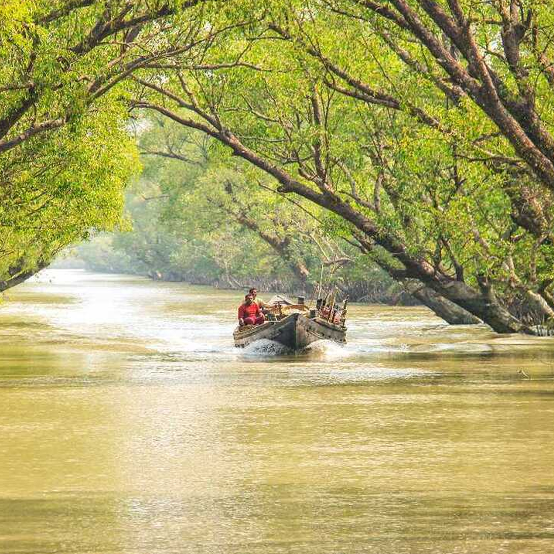 Sundarbans National Park
